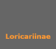 Loricariinae